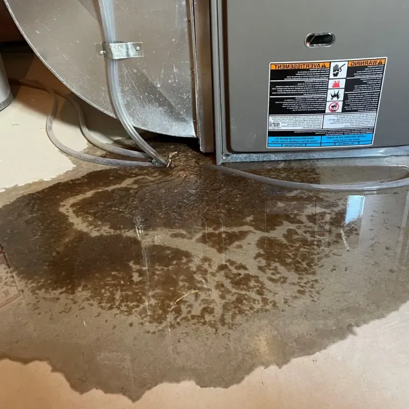 Pipe Burst and Leak Restoration in Rye Brook, NY